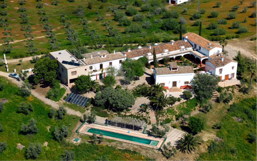 Vista aérea de la finca rodeada de olivos